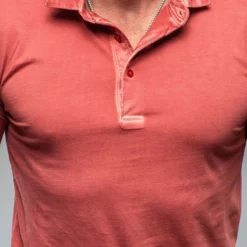 Cruz Cotton Polo In Brick 7 Cruz Cotton Polo In Brick -Dune Shop georg roth cruz cotton polo in brick mens shirts polos axels vail 38114783035626