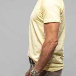 Siena Cotton V Neck In Yellow 7 Siena Cotton V Neck In Yellow -Dune Shop georg roth gr cotton v neck in yellow mens shirts t shirts axels vail 37617586438378